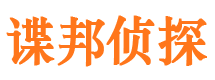 环江外遇调查取证